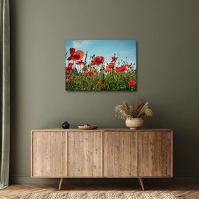 Tablou - Pe câmpul cu maci (70x50 cm)
