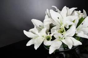 Aranjament floral design LUX ETERNITY ROUND LILIUM