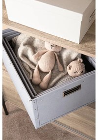 Cutii de depozitare gri-deschis 3 buc. din carton Ture – Bigso Box of Sweden
