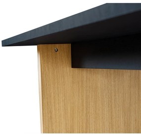 Masă de dining cu blat cu aspect de lemn de stejar 90x160 cm Stripe – Woodman