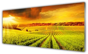 Tablou pe sticla Câmp Sunset Peisaj Verde Galben