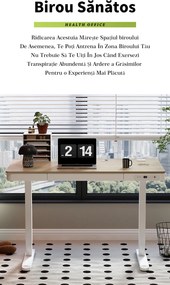 Birou Electric Reglabil pe Înălțime cu Sertar Ascuns, Încărcare Wireless & USB, Senzor de siguranță, 160x60, Nuc/Negru