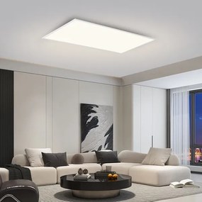 Brilagi - Plafonieră LED SLIMFRAME, 80 W, 230 V, 120 x 60 cm, 3000/4000/6000 K, albă