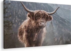 Tablou - Vaca Highlander (90x60 cm)