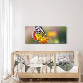 Tablou - Fluture pe floare (120x50 cm)