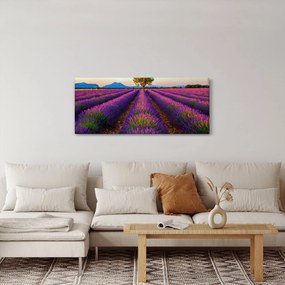 Tablou - Câmp de lavandă (120x50 cm)