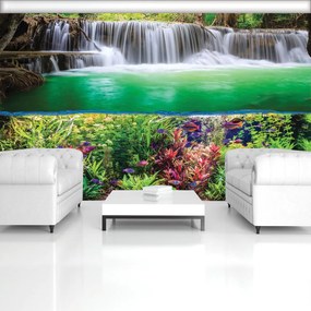 Fototapet - Plante, pești și cascada (254x184 cm)