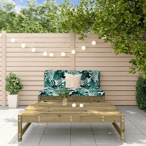 3186591 vidaXL Set mobilier relaxare de grădină, 2 piese, lemn de pin tratat