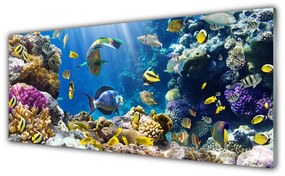 Tablouri acrilice Coral Reef Natura Multi