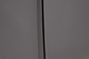 Set 2 scaune stil retro Divani gri inchis