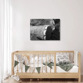 Tablou pe sticlă - Picior de elefant (70x50 cm)