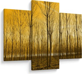 Tablou cu pădure în apus de soare (90x60 cm)