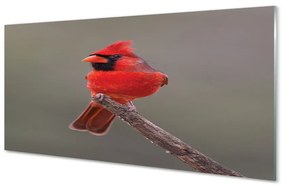 Tablouri acrilice papagal roșu pe o ramură