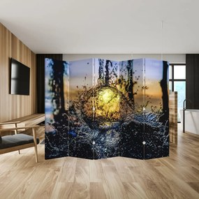 Paravan - Apa (210x170 cm)