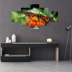 Tablou cu fluture pe floare (125x70 cm), în 40 de alte dimensiuni noi