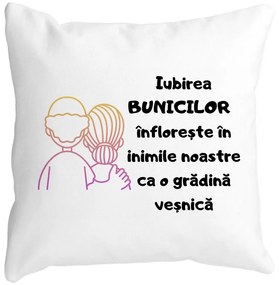 Perna Decorativa pentru Bunici 10, 40x40 cm, Alba, Mata, Husa Detasabila, Burduf