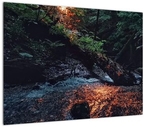 Tablou pe sticlă cu râu montan (70x50 cm)