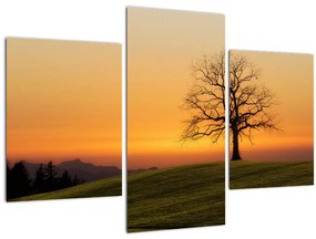 Tablou cu apus de soare pe o luncă (90x60 cm)