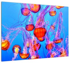 Tablou cu meduse în mare (70x50 cm)