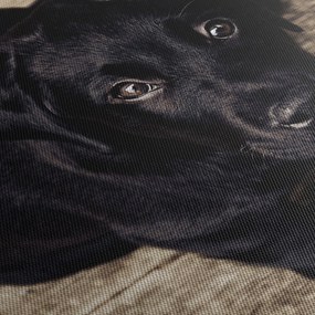 Tablou cu cățeluș negru (cu ceas) (90x30 cm)