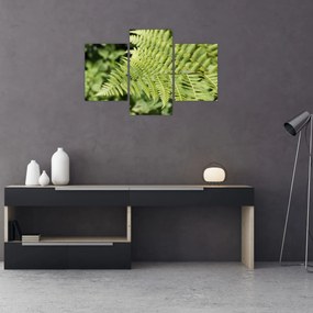 Tablou - Frunză de ferigă (90x60 cm)