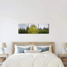 Tablou - Copac verde în câmp (cu ceas) (90x30 cm)