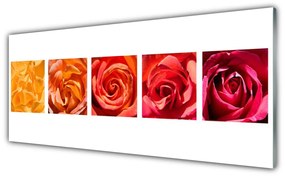 Tablou pe sticla Trandafiri Floral Galben Portocaliu Roșu