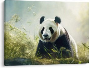 Tablou - Panda (70x50 cm)