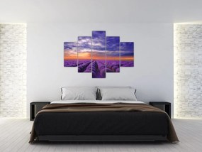 Tablou câmpului cu lavandă (150x105 cm)