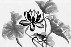 Tapet floare de lotus în acuarelă în alb-negru