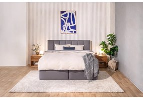 Pat boxspring gri 160x200 cm Olia Bold Line – Bonami Selection