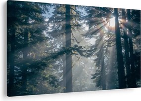 Tablou cu copaci și soarele translucind (90x60 cm)