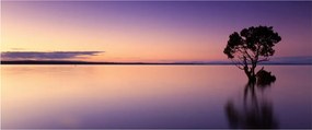 Tablou cu nivelul apei la răsăsrit de soare (120x50 cm)
