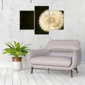 Tablou cu păpădie gri (90x60 cm)