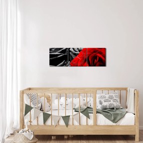 Tablou - Flori de trandafir (cu ceas) (90x30 cm)