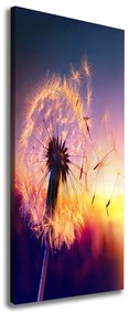 Imprimare tablou canvas Păpădie
