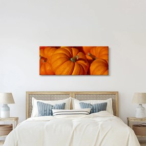 Tablou - Dovleci mari (120x50 cm)