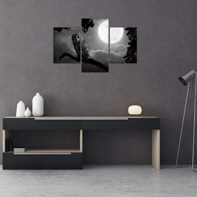 Tablou - Bufniță de noapte, alb și negru (90x60 cm)