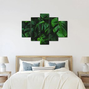 Tablou cu frunze Monstery (150x105 cm)