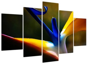 Tablou - Floare exotică (150x105 cm)