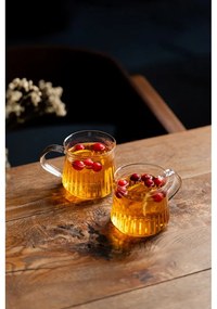 Căni 2 buc. pentru cappuccino/cu perete dublu 320 ml Mia – Vialli Design