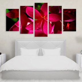 Tablou Multicanvas 5 Pink Flowers 250x120 cm