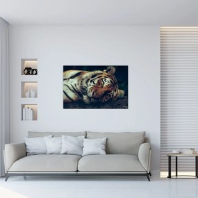 Tablou - Tigrul Siberian (90x60 cm)