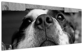 Tablou cu câine (120x50 cm)