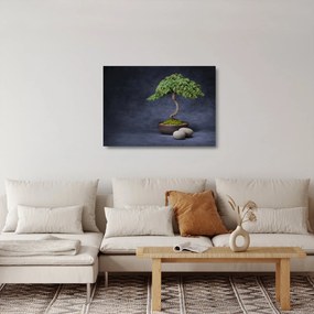 Tablou pe sticlă - Bonsai (70x50 cm)