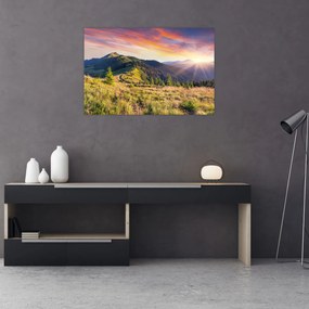 Tablou - Peisaj forestier (90x60 cm)