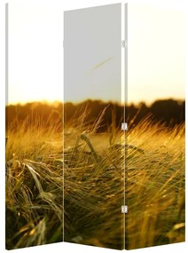 Paravan Iarba cu rouă (126x170 cm)