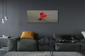 Tablouri canvas papagal roșu pe o ramură