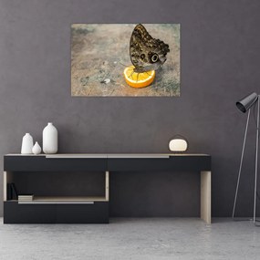Tablou cu fluturi (90x60 cm)