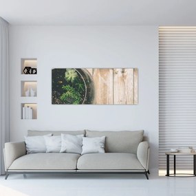 Tablou - Terariu de sticlă (120x50 cm)